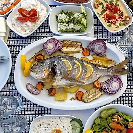 酒店 Hola Bodrum